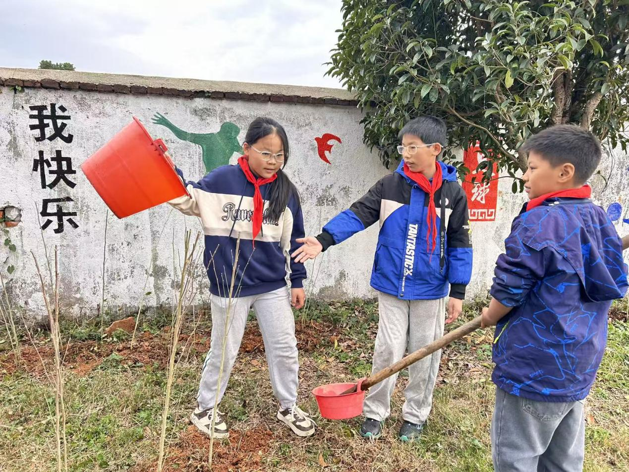 图片 2.png 图片 2.png