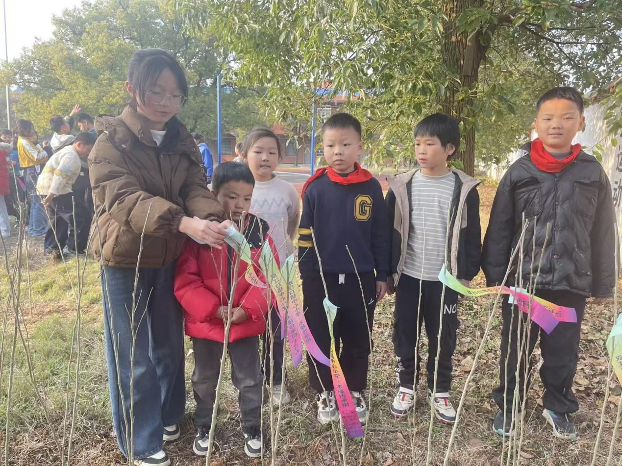 图片 1.png 图片 1.png